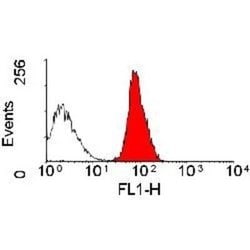 CD45 Antibody (OX-1) - Azide and BSA Free, Novus Biologicals 0.25 mg; Unconjugated:Antibodies,